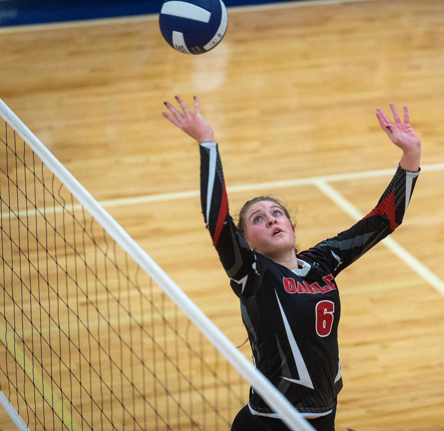 Volleyball - Oakley Vs. LHC